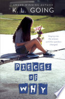 Pieces_of_why